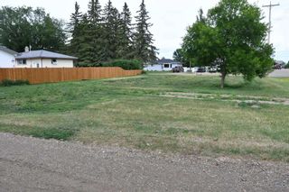 Photo 5: 236 1 Street E: Duchess Residential Land for sale : MLS®# A2103323