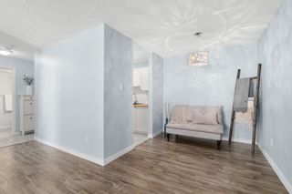 Photo 8: 113 30 McHugh Court NE in Calgary: Mayland Heights Apartment for sale : MLS®# A1217376