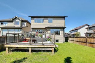 Photo 36: 165 ROYAL OAK Terrace NW in Calgary: Royal Oak Detached for sale : MLS®# C4299974