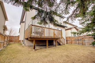 Photo 45: 336D Silvergrove Place NW in Calgary: Silver Springs Detached for sale : MLS®# A1199863