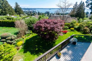 Photo 5: 2440 QUEENS Avenue in West Vancouver: Queens House for sale : MLS®# R2779908