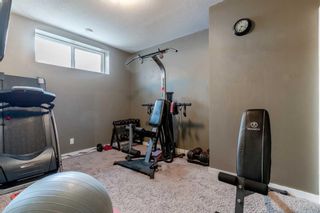 Photo 36: 246 Evanspark Circle NW in Calgary: Evanston Detached for sale : MLS®# A2129795