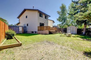 Photo 41: 59 Whitehaven Road in Calgary: Whitehorn Detached for sale : MLS®# A1241321