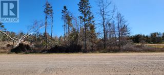 Photo 10: MacDonald's Road in Union Road: Vacant Land for sale : MLS®# 202309197