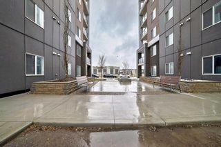 Photo 43: 1106 4641 128 Avenue NE in Calgary: Skyview Ranch Apartment for sale : MLS®# A2128394