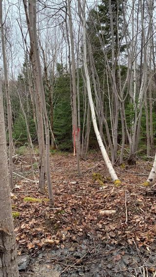 Photo 11: 24-4 Little Harbour Road in Frasers Mountain: 108-Rural Pictou County Vacant Land for sale (Northern Region)  : MLS®# 202409210