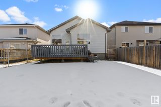 Photo 17: 4606 164 Avenue in Edmonton: Zone 03 House for sale : MLS®# E4374196