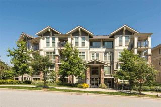 Photo 6: 101 265 ROSS Drive in New Westminster: Fraserview NW Condo for sale in "THE GROVE" : MLS®# R2187112