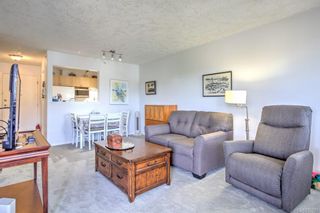 Photo 5: 301 740 Trunk Rd in Duncan: Du East Duncan Condo for sale : MLS®# 932029
