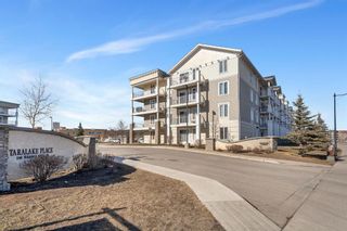 Main Photo: 2113 1140 Taradale Drive NE in Calgary: Taradale Apartment for sale : MLS®# A2115127