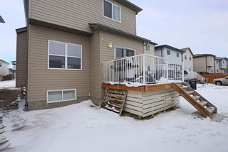 Photo 26: 29 Panora Street NW in Calgary: Panorama Hills Detached for sale : MLS®# A1170438