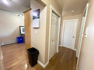 Photo 12: 304 2006 11 Avenue SW in Calgary: Sunalta Apartment for sale : MLS®# A2105652