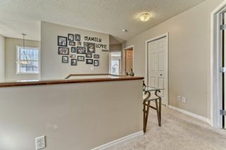 Photo 25: 186 Copperfield Close SE in Calgary: Copperfield Detached for sale : MLS®# A1181511