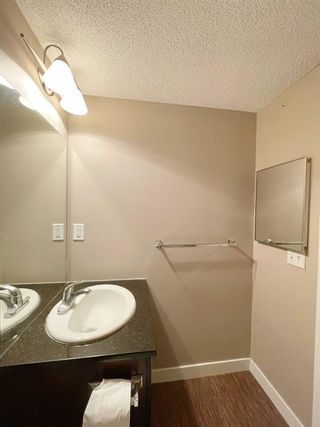 Photo 9: 402 7210 80 Avenue NE in Calgary: Saddle Ridge Apartment for sale : MLS®# A2001799