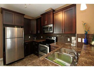 Photo 3: 245 RANCH RIDGE Meadows: Strathmore Townhouse for sale : MLS®# C3615774