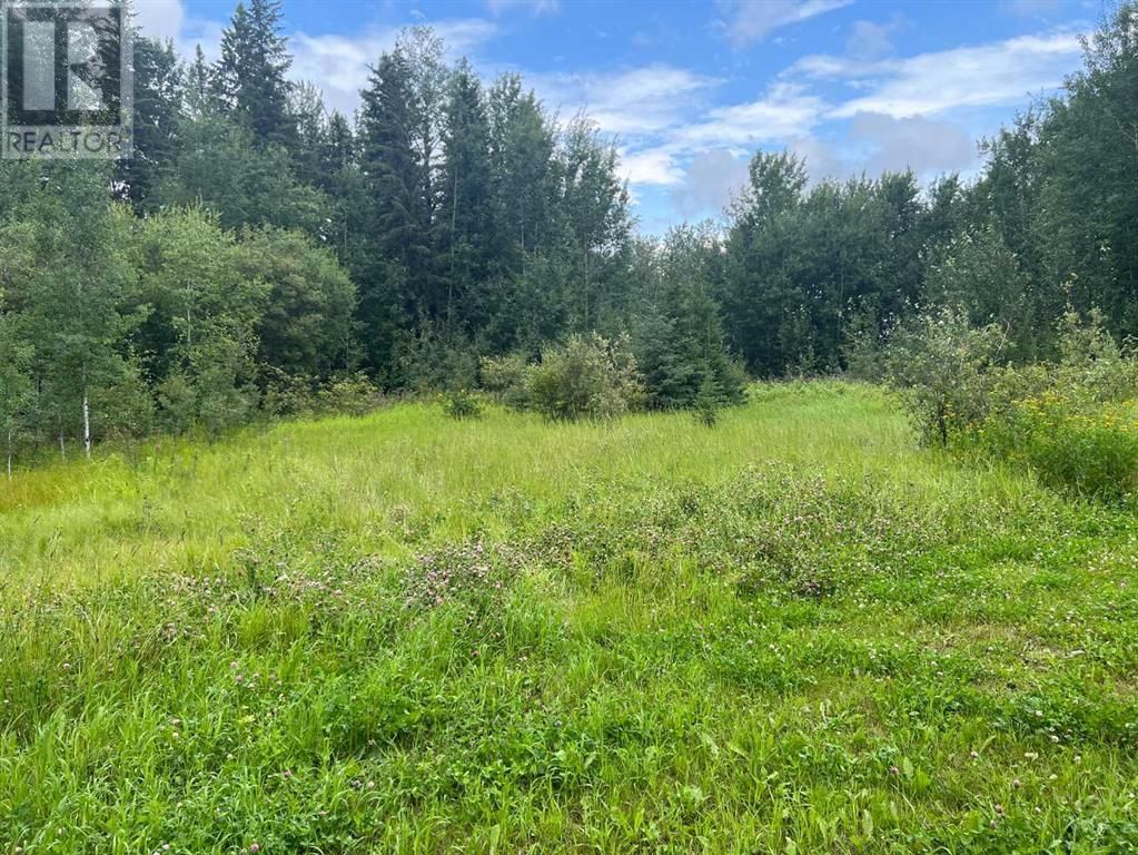 Main Photo: 801 Wolf trail in Sandy Lake: Vacant Land for sale : MLS®# A2068848