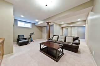 Photo 24: 125 COUGARSTONE Manor SW in Calgary: Cougar Ridge Detached for sale : MLS®# A1019561