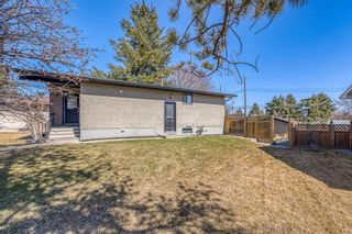 Photo 31: 1008 32 Street SE in Calgary: Albert Park/Radisson Heights Detached for sale : MLS®# A1090391