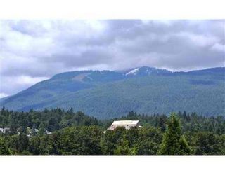 Photo 9: # 404 223 MOUNTAIN HY in North Vancouver: Lynnmour Condo for sale : MLS®# V899286