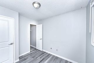 Photo 19: 6079 Martingrove Road NE in Calgary: Martindale Detached for sale : MLS®# A2121802