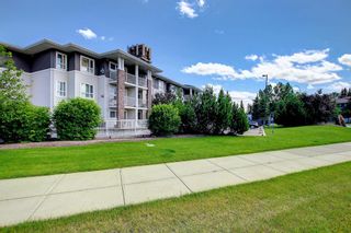 Photo 46: 124 8200 4 Street NE in Calgary: Beddington Heights Apartment for sale : MLS®# A2017788