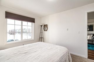 Photo 29: 1202 99 Copperstone Park SE in Calgary: Copperfield Apartment for sale : MLS®# A2018930