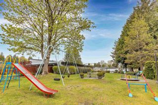 Photo 39: 123 11959 PONDEROSA Boulevard in Pitt Meadows: Central Meadows Manufactured Home for sale : MLS®# R2857052