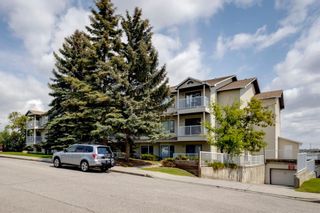 Photo 20: 307 3606 Erlton Court SW in Calgary: Parkhill Apartment for sale : MLS®# A1230674
