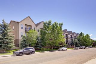 Photo 25: 119 15304 Bannister Road SE in Calgary: Midnapore Apartment for sale : MLS®# A1205133