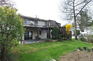 Photo 14: 23405 SANDPIPER AVENUE in Maple Ridge: Cottonwood MR House for sale : MLS®# R2360174