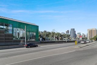 Photo 40: 315 38 9 Street NE in Calgary: Bridgeland/Riverside Apartment for sale : MLS®# A1257381