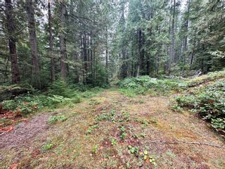 Photo 21: 700 Whaletown Rd in Whaletown: Isl Cortes Island Land for sale (Islands)  : MLS®# 942870