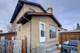 Photo 42: 33 Templeton Bay NE in Calgary: Temple Detached for sale : MLS®# A1199751