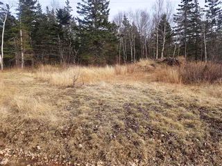 Photo 11: LOT 21 Augsburger Street in Victoria Harbour: 404-Kings County Vacant Land for sale (Annapolis Valley)  : MLS®# 201926264