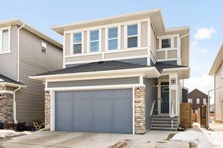 Photo 1: 63 Red Embers Terrace NE in Calgary: Redstone Detached for sale : MLS®# A2115607
