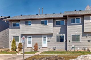 Photo 1: 30 6020 Temple Drive NE in Calgary: Temple Row/Townhouse for sale : MLS®# A2119215
