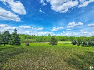 Photo 10: 15 474012 RGE RD 242: Rural Wetaskiwin County Vacant Lot/Land for sale : MLS®# E4389826