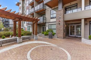Photo 16: 406 7809 209 Street in Langley: Willoughby Heights Condo for sale in "WYATT" : MLS®# R2871813