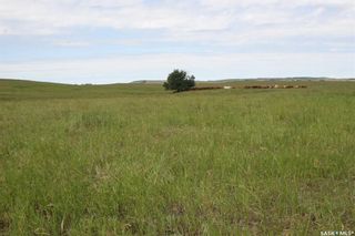 Photo 2: Clinton Weekes Land in Biggar: Farm for sale (Biggar Rm No. 347)  : MLS®# SK894555