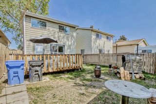 Photo 42: 47 Erin Croft Crescent SE in Calgary: Erin Woods Detached for sale : MLS®# A2048815