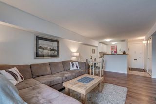 Photo 6: 460 519 17 Avenue SW in Calgary: Cliff Bungalow Apartment for sale : MLS®# A1053452