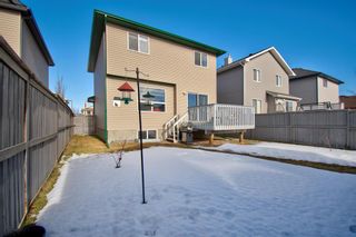 Photo 47: 111 Luxstone Crescent SW: Airdrie Detached for sale : MLS®# A2023990