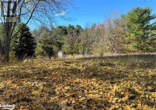 Photo 2: 11 ALBERT Street in Parry Sound: Vacant Land for sale : MLS®# 40342182