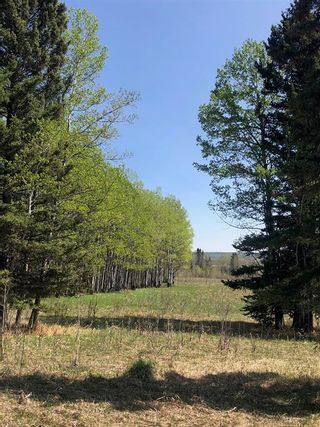 Photo 13: 0 223 Avenue W: Rural Foothills County Residential Land for sale : MLS®# A2037670