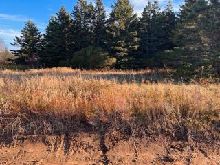 Photo 10: Lots 3 & 4 Brooks Road in Ashmore: Digby County Vacant Land for sale (Annapolis Valley)  : MLS®# 202225766