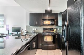 Photo 5: 207 210 15 Avenue SE in Calgary: Beltline Apartment for sale : MLS®# A1231547