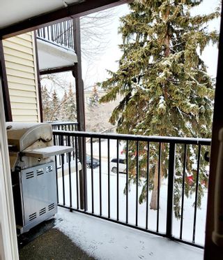 Photo 5: 304 635 56 Avenue SW in Calgary: Windsor Park Apartment for sale : MLS®# A2028703