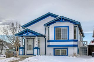 Photo 3: 180 Martin Crossing Close NE in Calgary: Martindale Detached for sale : MLS®# A1170962