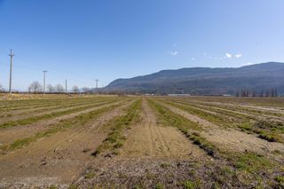 Photo 15: 40320 NO. 5 Road in Abbotsford: Sumas Prairie Agri-Business for sale : MLS®# C8050452