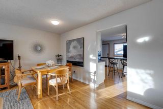 Photo 7: 20 Bedwood Crescent NE in Calgary: Beddington Heights Detached for sale : MLS®# A2099844